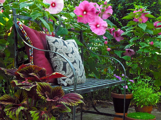 Momentum » Blog | Hibisco e ixora: flores-curinga do jardim