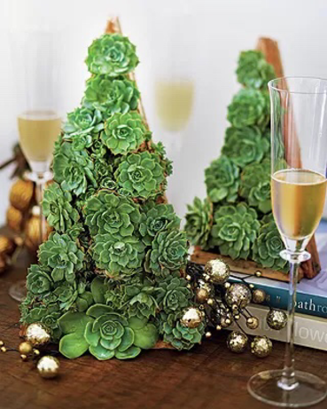 Momentum » Blog | Decoração de Natal tropical
