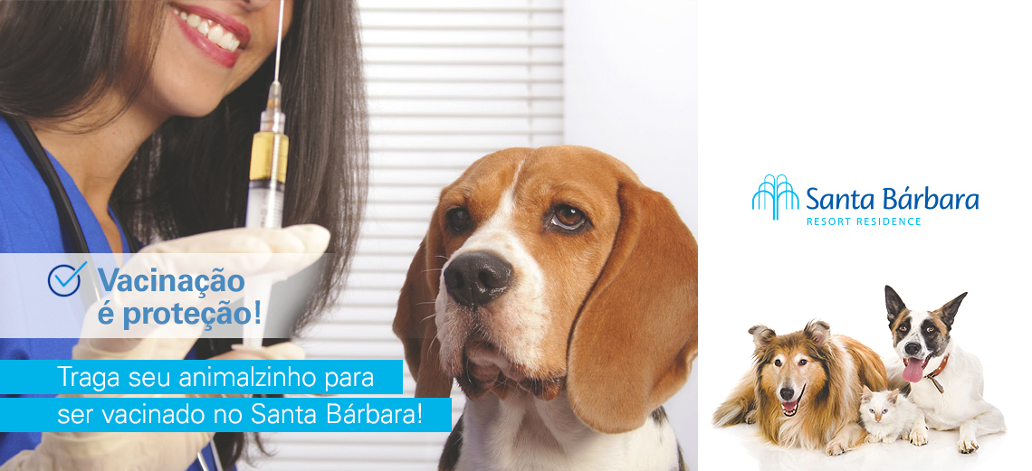 Santa Bárbara recebe 2ª Campanha de Vacinação Antirrábica