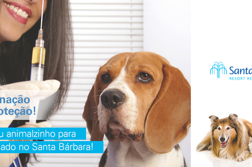 Santa Bárbara recebe 2ª Campanha de Vacinação Antirrábica