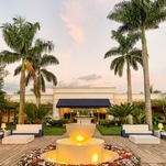 Sunpatiens (ao redor da fonte)