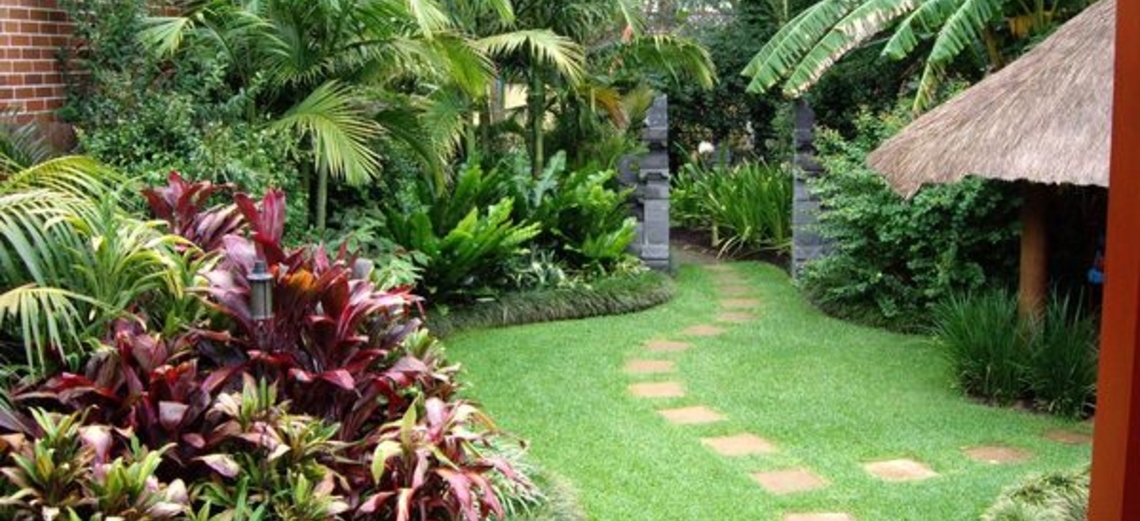 Jardim com estilo tropical