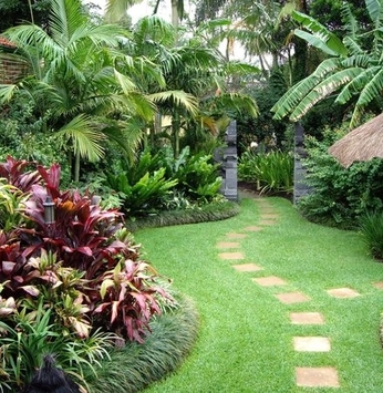 Jardim com estilo tropical