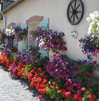 Prepare sua casa para a primavera