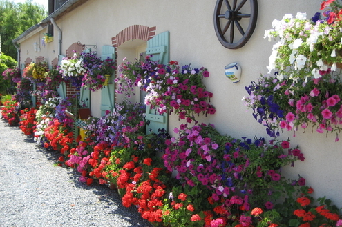 Prepare sua casa para a primavera
