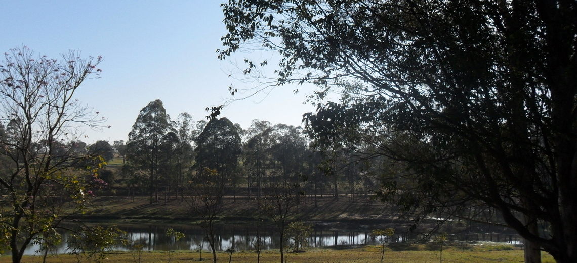 Dia Mundial do Meio Ambiente