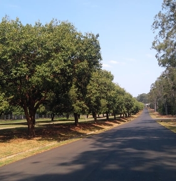 Obras de pavimentação no Santa Bárbara estão perto da conclusão