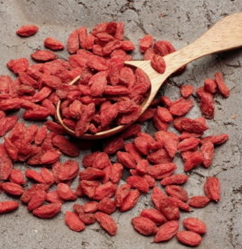 Goji Berry: o alimento fonte da juventude