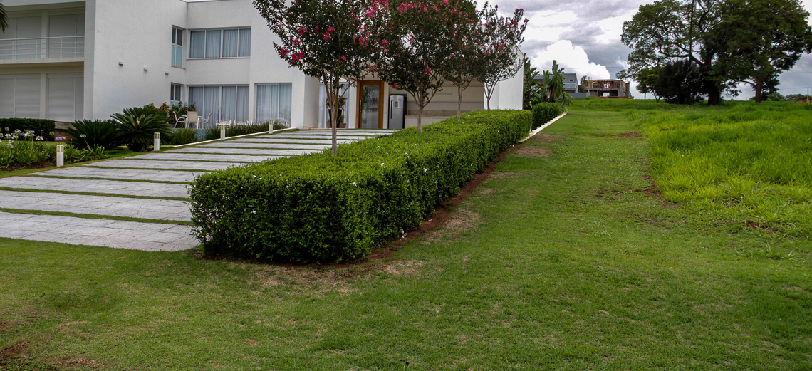 Paisagismo com cercas vivas embeleza imóvel