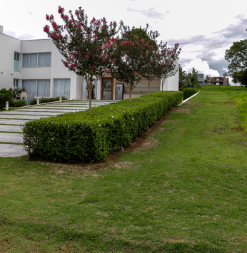 Paisagismo com cercas vivas embeleza imóvel