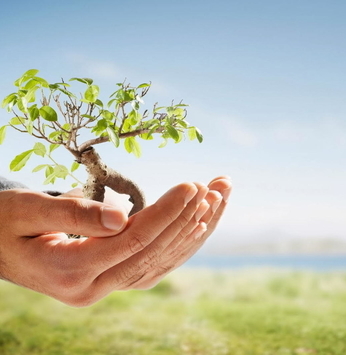 9 serviços úteis para ajudar a conservar o meio ambiente