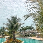 RSCII - @beatrizaandrades