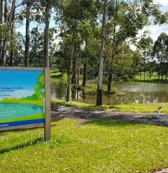 Lagos do Ninho Verde I