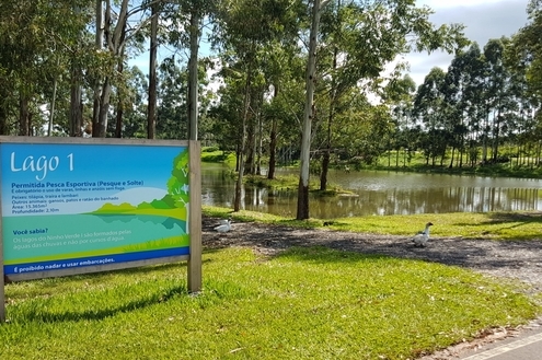 Lagos do Ninho Verde I
