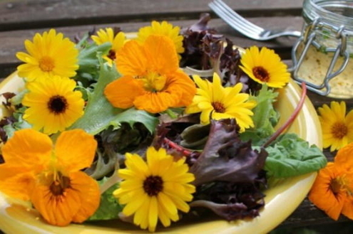 Flores: do jardim para a culinária