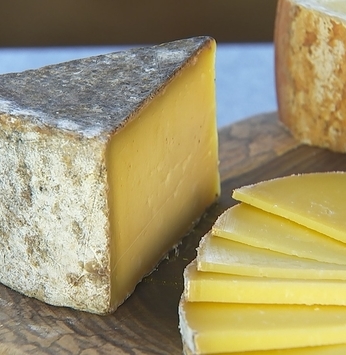 VOCÊ SABIA? Alguns dos melhores queijos do mundo são fabricados perto do Santa Bárbara