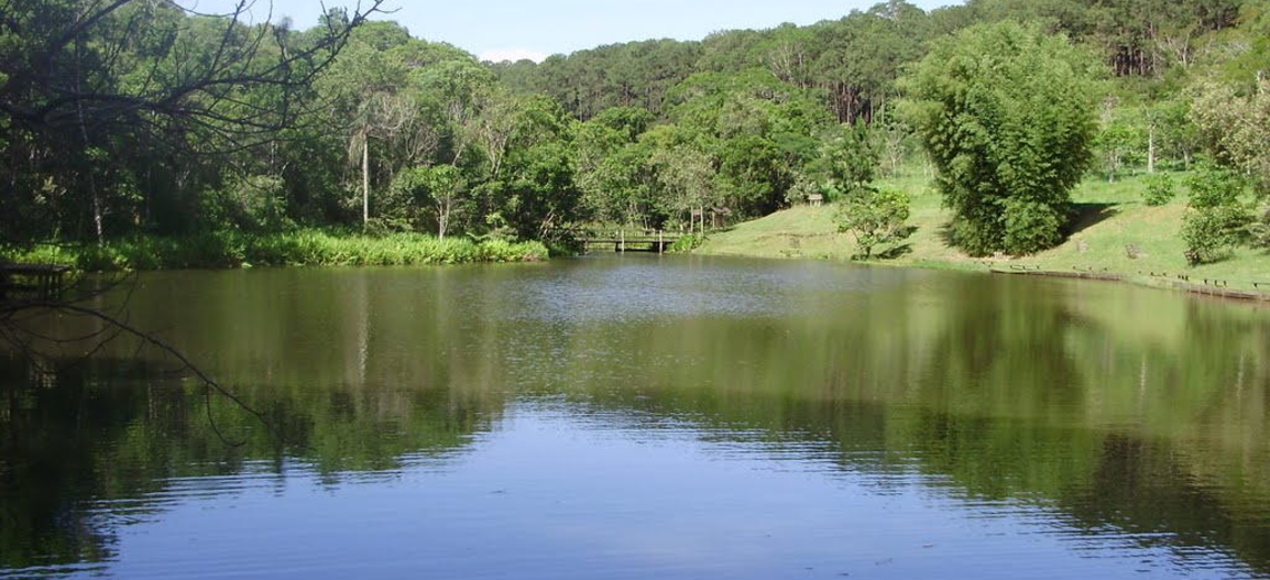 Floresta Estadual Manduri
