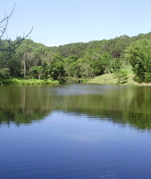 Floresta Estadual Manduri