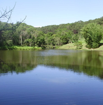 Floresta Estadual Manduri