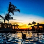 Espetáculos de finais de tarde no Clube de Campo Ninho Verde II.
Foto: @vanmical
