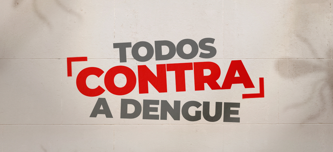 Combate à dengue