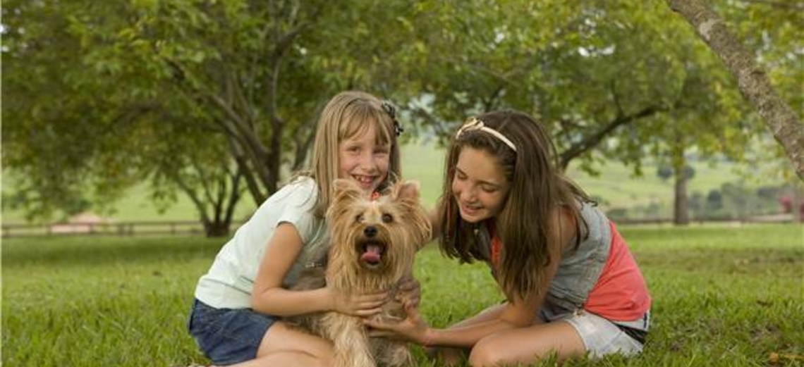 Os benefícios dos animais de estimação