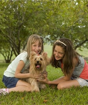 Os benefícios dos animais de estimação