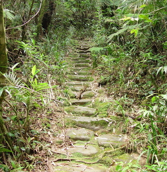 O Caminho de Peabiru