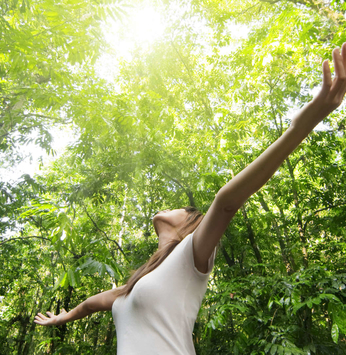 Contato com a natureza melhora a saúde