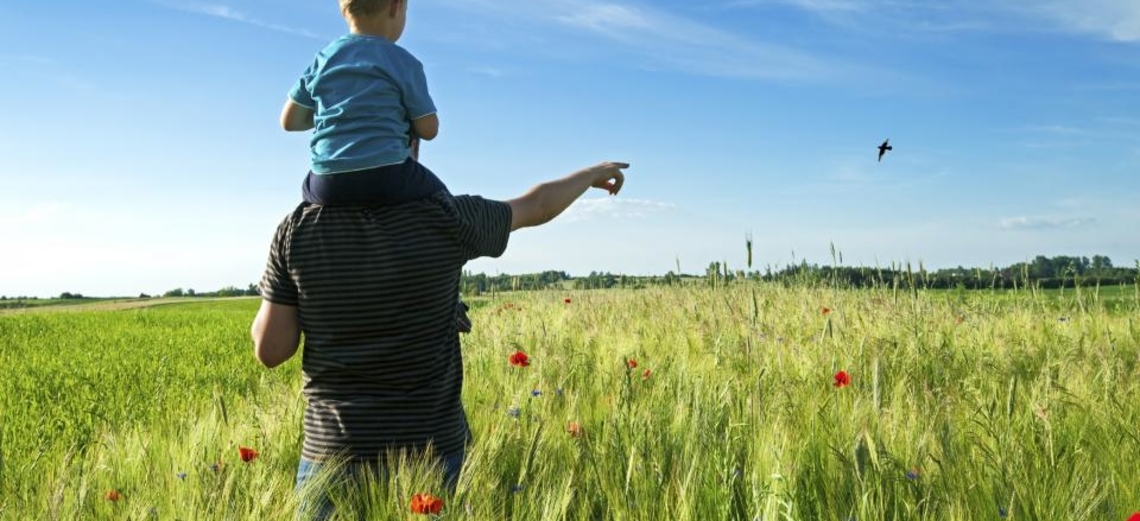 O convívio de pais e filhos nos empreendimentos da Momentum