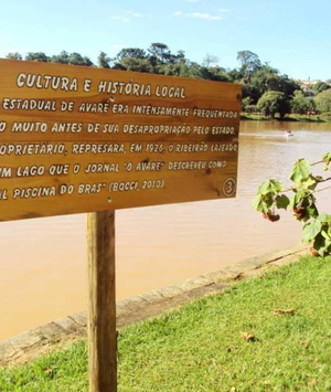 Floresta Estadual de Avaré