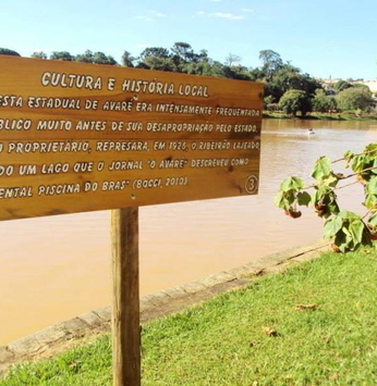 Floresta Estadual de Avaré