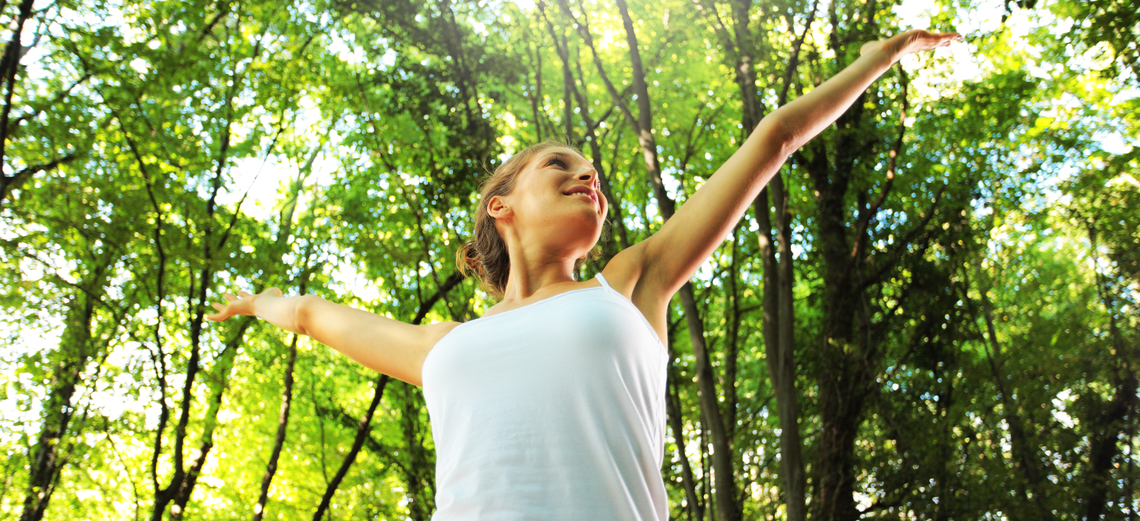 A natureza do Santa V e os benefícios para a sua vida