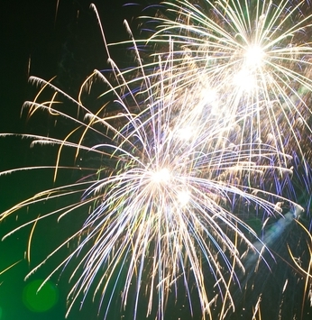 Ninho Verde I vibra boas energias na festa da virada