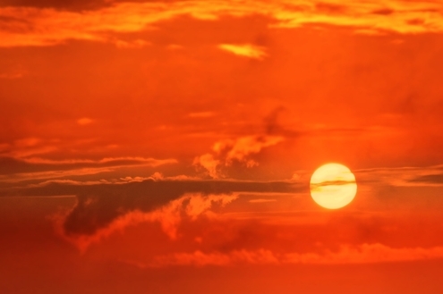 3 de maio: Dia do Sol