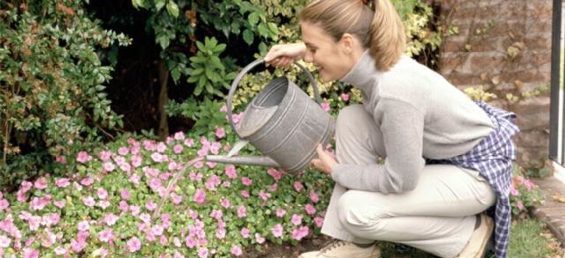 Um jardim para sua casa