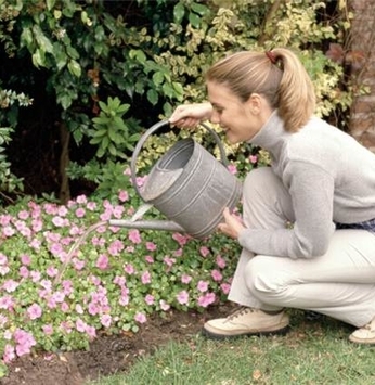 Um jardim para sua casa