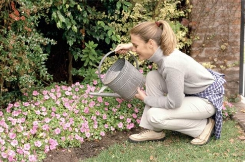 Um jardim para sua casa