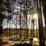 RSCIII - @panoptico_94