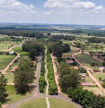 Fruta encontrada no Santa Bárbara é matéria prima para famosa caipirinha de proprietário