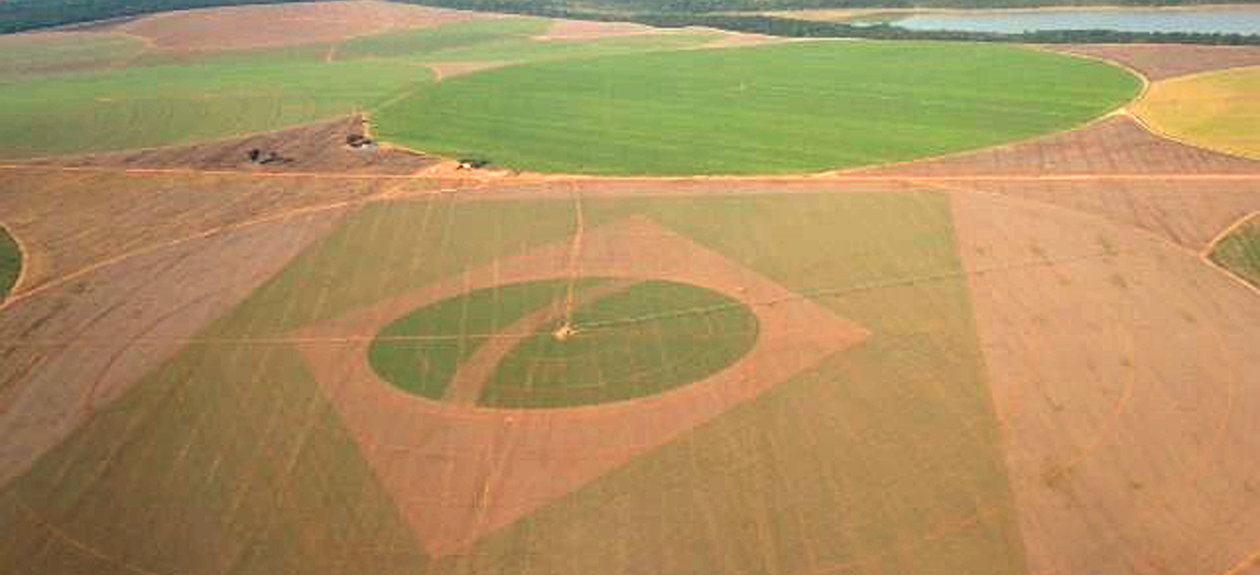 Bandeira do Brasil retratada na agricultura