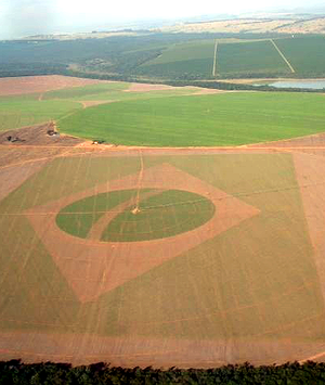 Bandeira do Brasil retratada na agricultura