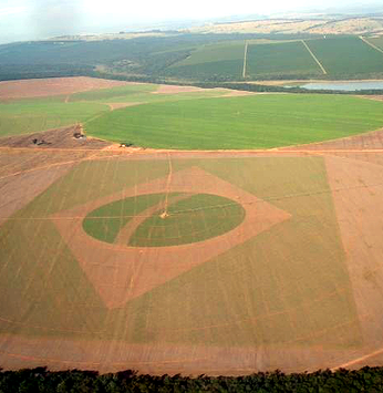 Bandeira do Brasil retratada na agricultura