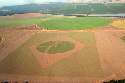 Bandeira do Brasil retratada na agricultura