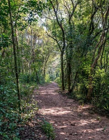Trilha ecológica