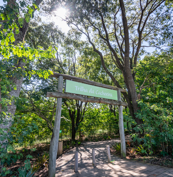 Trilha da Cachoeira é uma ótima opção de passeio no Santa Bárbara