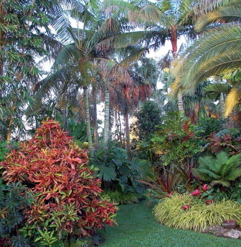 O colorido das folhas no jardim