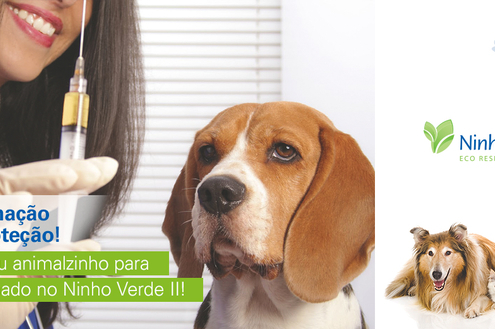 3ª Campanha de Vacinação Antirrábica acontece na próxima segunda-feira