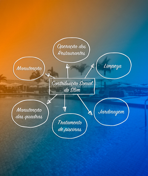 Contribuição Social do SLIM: para onde vai o dinheiro?
