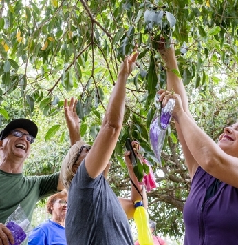 E a Jambolão Fest continua no Santa Bárbara!